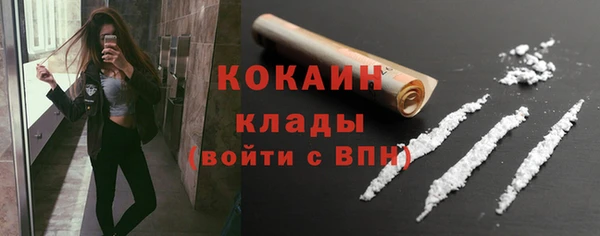 МДПВ Михайлов