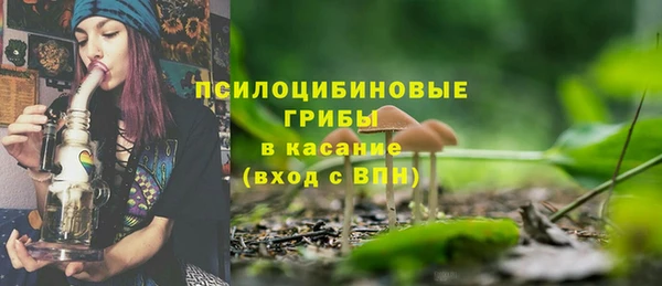 МДПВ Михайлов