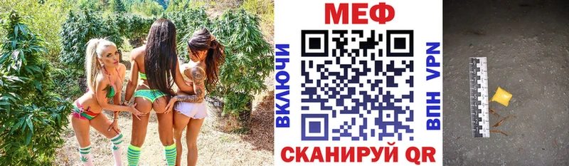 МЯУ-МЯУ мяу мяу  Никольское 