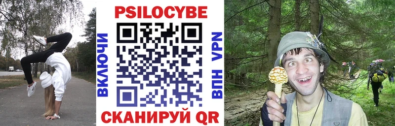 сколько стоит  Никольское  Галлюциногенные грибы Cubensis 