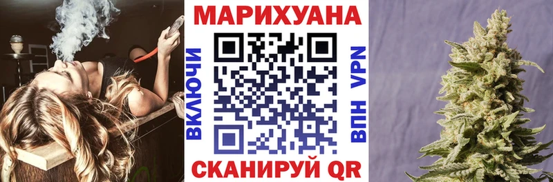 Бошки Шишки план  Никольское 